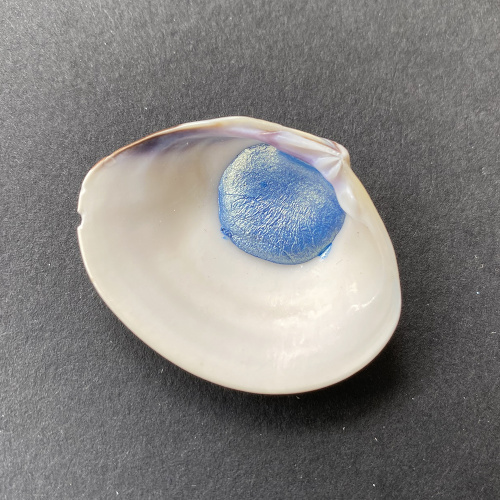 glacialrivershellpaint